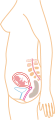 http://upload.wikimedia.org/wikipedia/commons/thumb/d/d4/Month_3.svg/55px-Month_3.svg.png