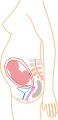 http://upload.wikimedia.org/wikipedia/commons/thumb/a/a0/Month_6.svg/58px-Month_6.svg.png