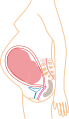 http://upload.wikimedia.org/wikipedia/commons/thumb/7/7b/Month_9.svg/69px-Month_9.svg.png